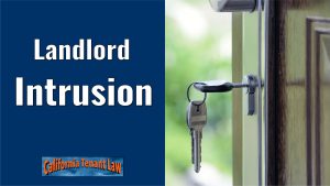 landlord Intrusion
